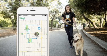 Wag app with dog and walker