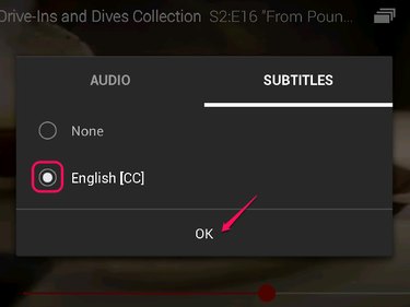 Audio & Subtitles menu