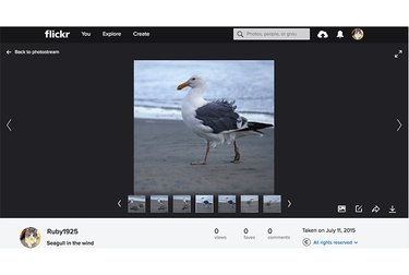 Flickr individual photo interface